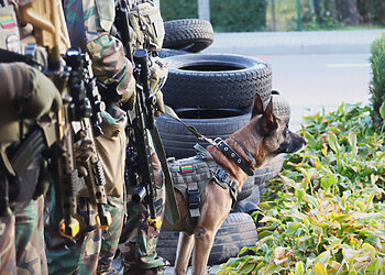 Kaišiadoryse vyks šaulių pratybos „Juodas vanagas“