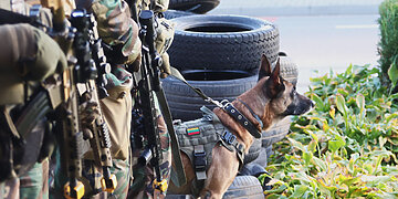 Kaišiadoryse vyks šaulių pratybos „Juodas vanagas“