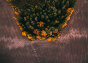 Regioninis verslas – ekonomikos variklis, kuriam trūksta „arklių“