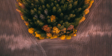 Regioninis verslas – ekonomikos variklis, kuriam trūksta „arklių“