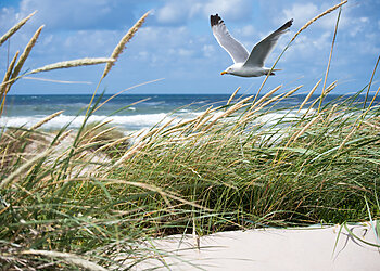 Baltijos jūros gerovė – ne tik pajūrio gyventojų rūpestis: prie prastos situacijos prisideda ir vilniečiai