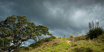 Savaitė po didžiausios šių metų audros: nuostoliai 4,23 mln. eurų