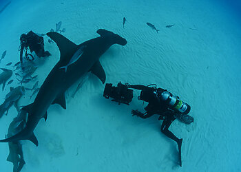 Džeimso Kamerono atskleidžiamas dar nematytas povandeninis pasaulis