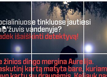 Virtualus detektyvas (@virtualus__detektyvas)