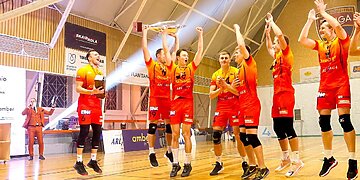 LTF vyrų Didžiosioji taurė