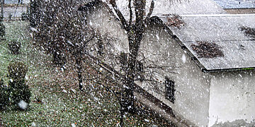 Plūstelėjo žalų kreipiniai dėl audros, nuostoliai gali siekti 350 tūkst. eurų