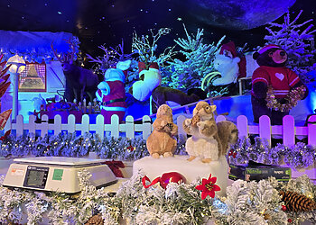 Kalėdinė pirkimo karštinė: kodėl jai pasiduoda net klimato aktyvistai?