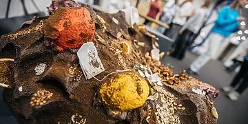 Radiniai nuotekų sistemose stebina net visko mačiusius: nuo kilimų iki mandarinų žievelių