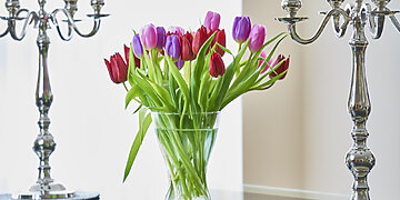 Į vazą su tulpėmis nedėkit nei monetų, nei cukraus: štai kas iš tikrųjų padės gėlėms ilgai išlikti tvirtoms ir šviežioms