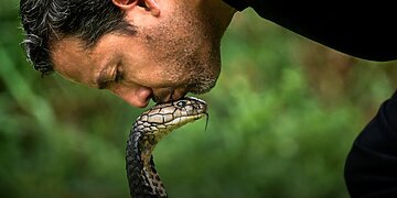 Magijos meistras Davidas Blaine‘as: už žmogaus galimybių ribų