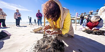 Gintarinis savaitgalis Palangoje – šventė, kurioje byra Lietuvos auksas