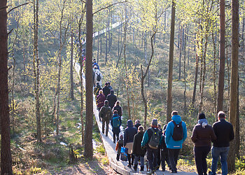 Šventė gamtos širdyje: festivalis „Vidur girių“ skiriamas Čepkelių rezervato 50-mečiui
