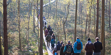 Šventė gamtos širdyje: festivalis „Vidur girių“ skiriamas Čepkelių rezervato 50-mečiui