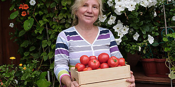 Šiltnamio paslaptys: kaip sulaukti derliaus, kurio pavydės kaimynai