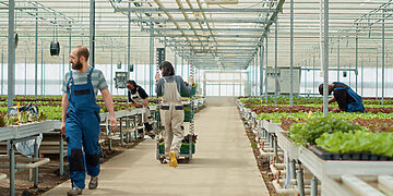 Lietuvą renkasi vis daugiau sezoninių darbuotojų iš trečiųjų šalių