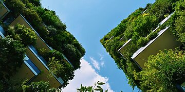 Tvari miestų vertė: kai žaliosios erdvės tampa svarbesnėmis už kvadratinį metrą betono