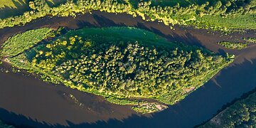 Pradedami istoriniai Nemuno tyrimai: jungiasi ir plaukikė Rūta Meilutytė