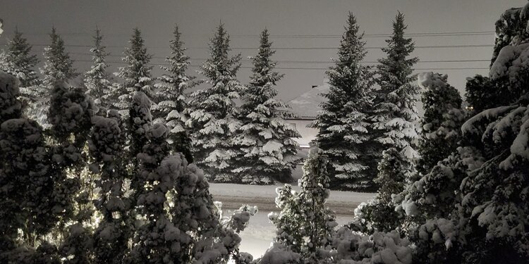 Per Lietuvą slenka sniego ciklonas – pietiniuose rajonuose sniego storis siekia 20 cm ir daugiau
